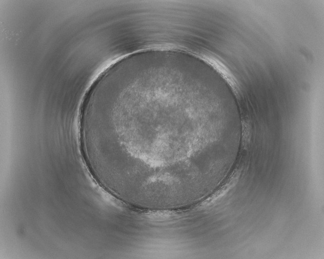 X0000116031046200912041930