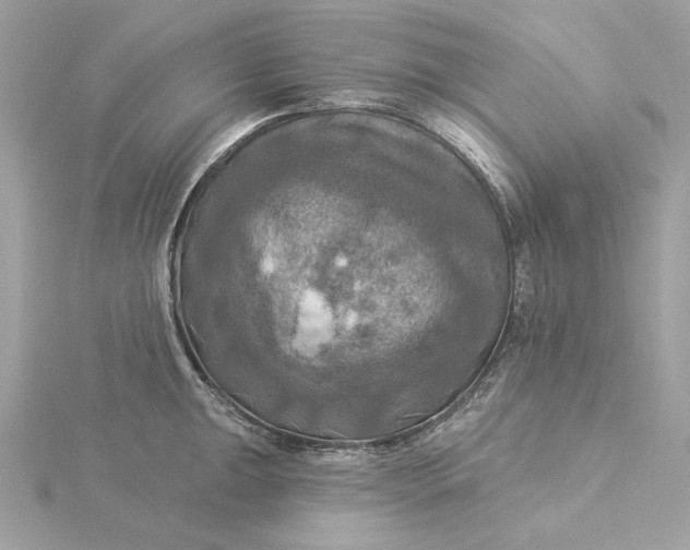 X0000116031047200912041930