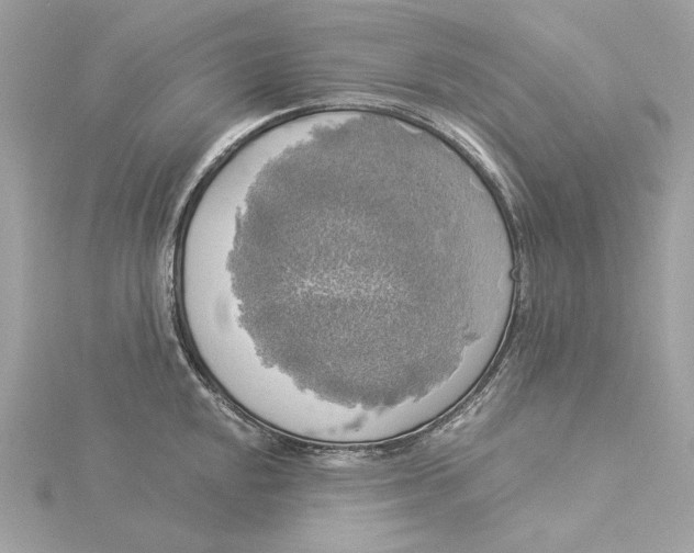 X0000116031048200912041930