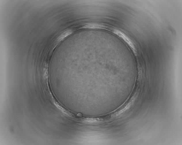 X0000116031049200912041930