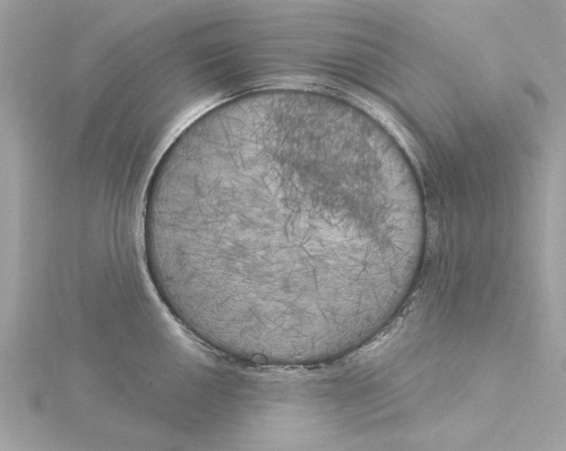 X0000116031050200912041930