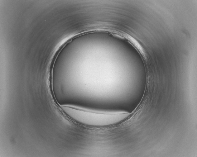 X0000116031051200912041930