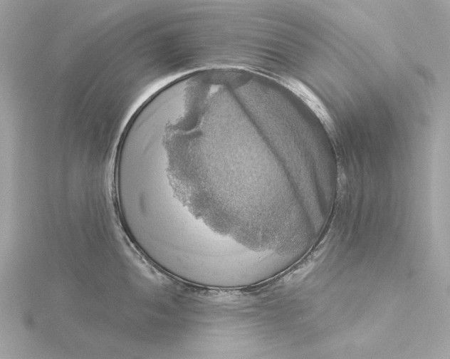 X0000116031052200912041930