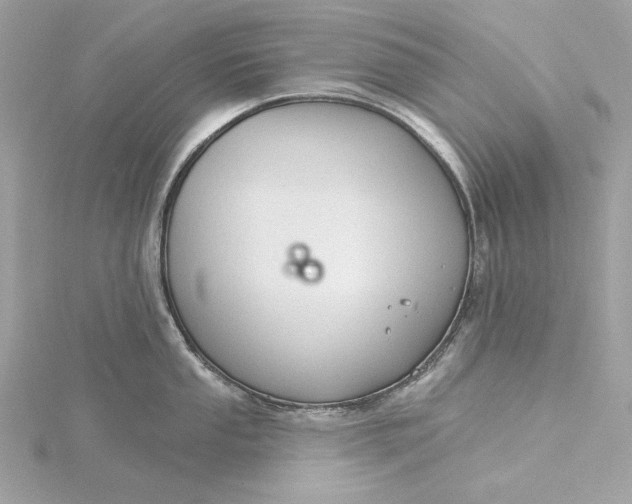 X0000116031053200912041930