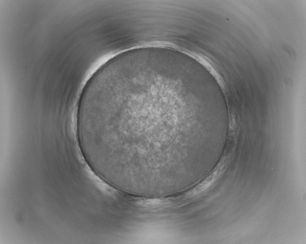 X0000116031054200912041930