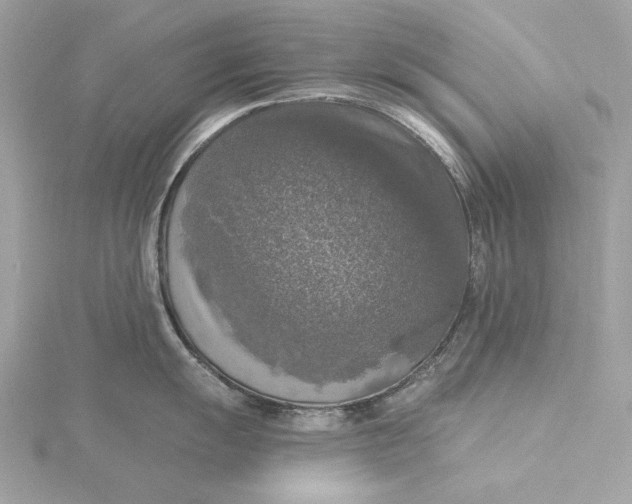 X0000116031055200912041930