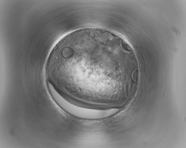 X0000116031056200912041930