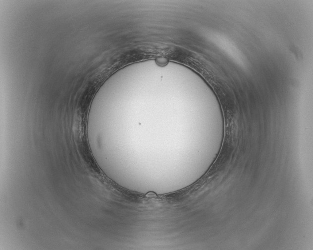 X0000116031058200912041930