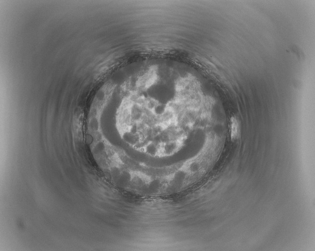 X0000116031059200912041930