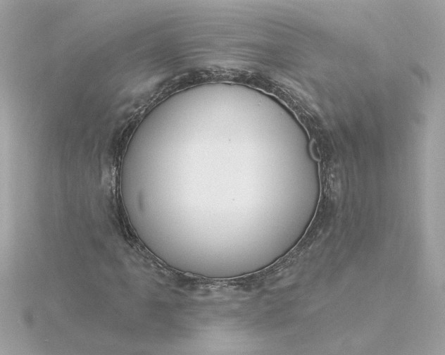 X0000116031061200912041930