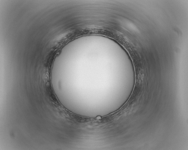 X0000116031062200912041930