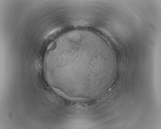 X0000116031063200912041930