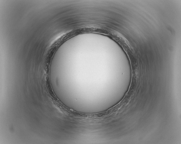 X0000116031064200912041930