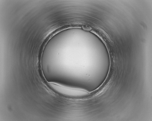 X0000116031065200912041930