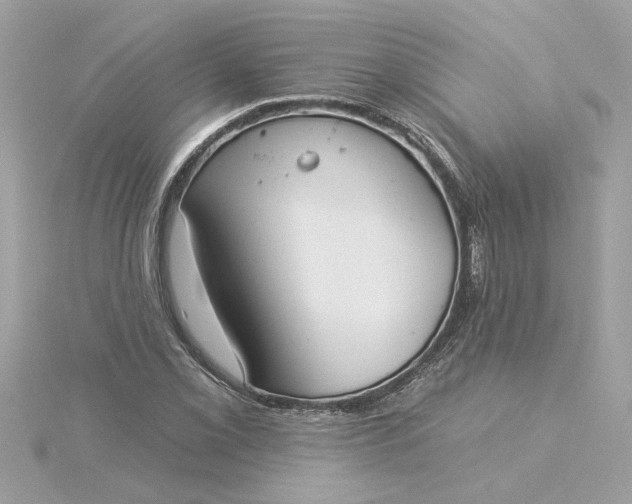 X0000116031069200912041930