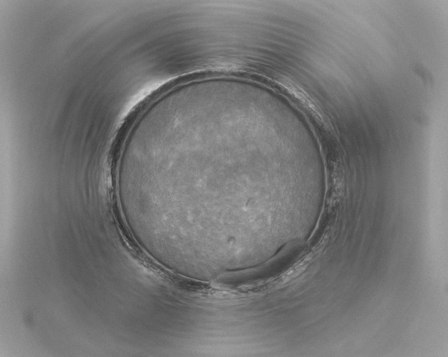 X0000116031070200912041930