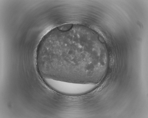 X0000116031071200912041930