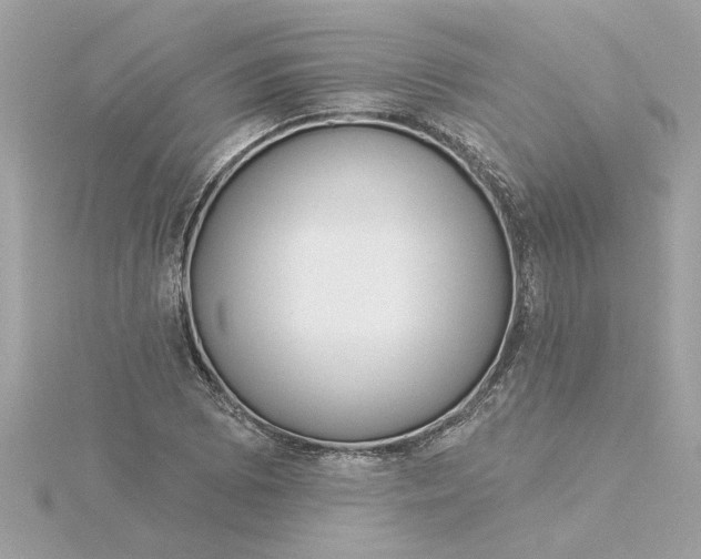 X0000116031073200912041930