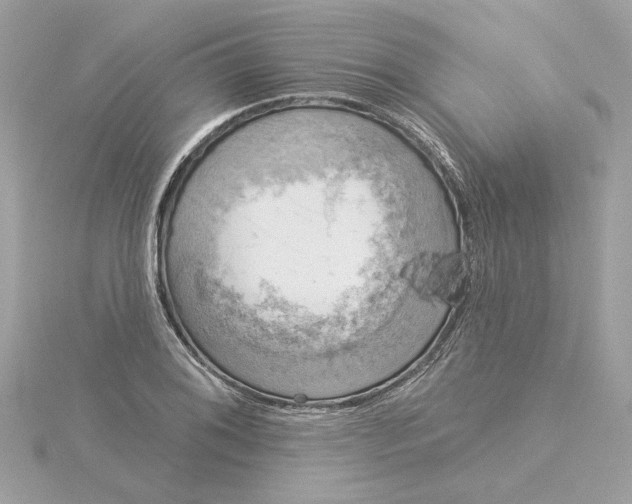 X0000116031076200912041930