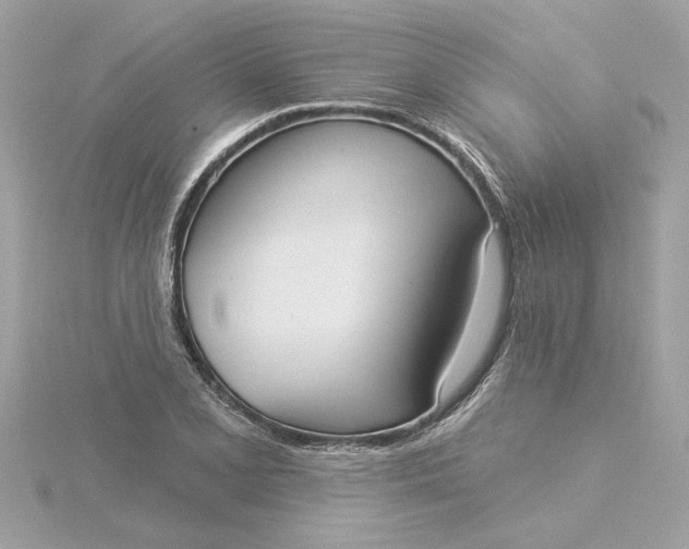 X0000116031077200912041930