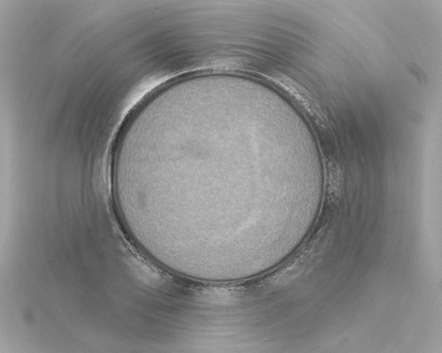 X0000116031078200912041930