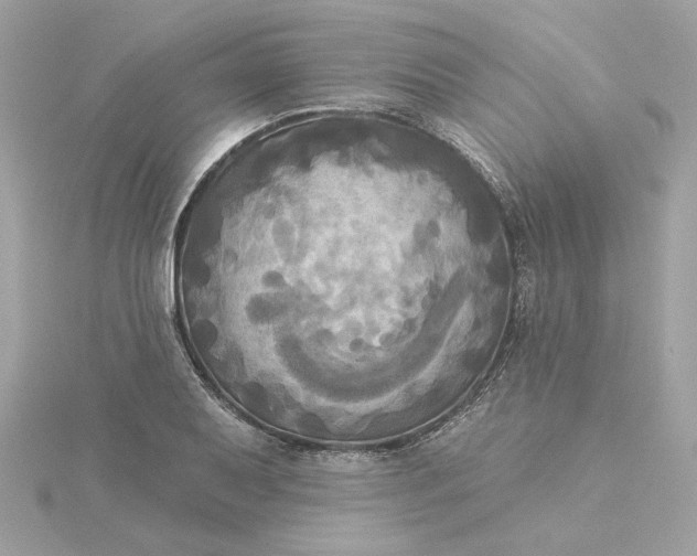 X0000116031079200912041930