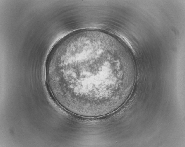 X0000116031080200912041930