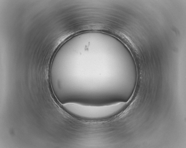 X0000116031081200912041930