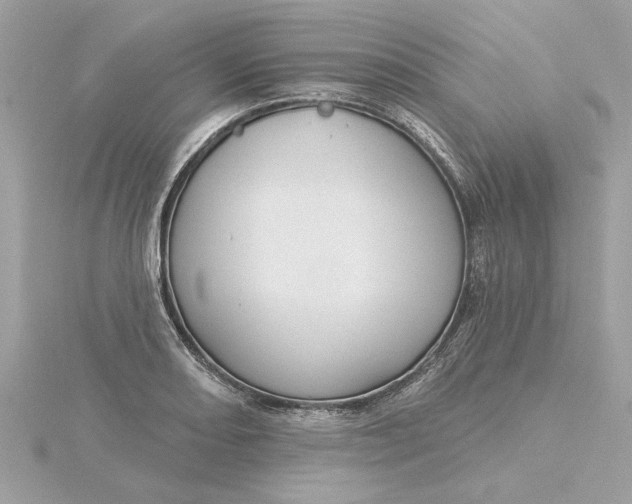 X0000116031082200912041930