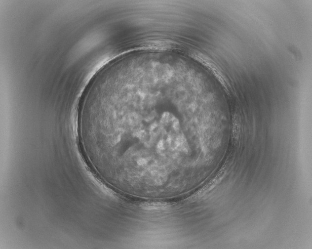 X0000116031083200912041930