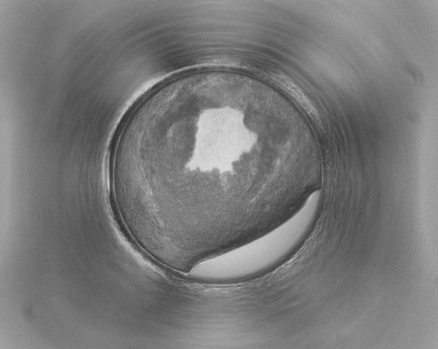 X0000116031084200912041930