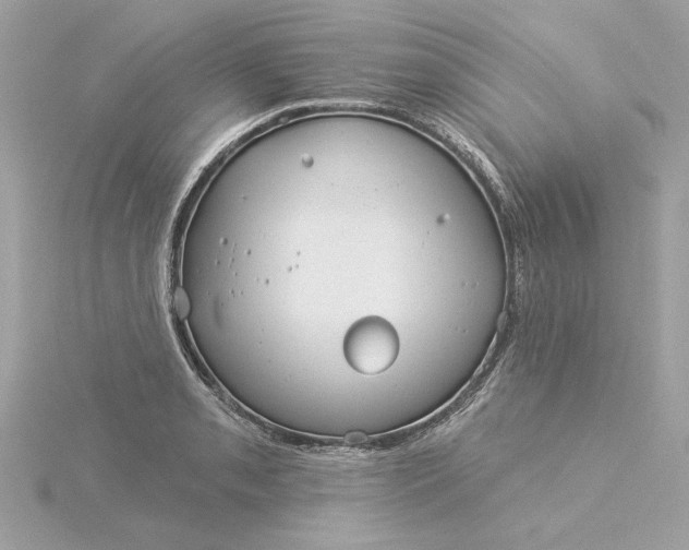 X0000116031085200912041930