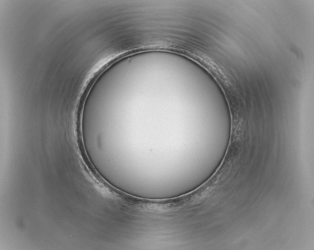 X0000116031086200912041930