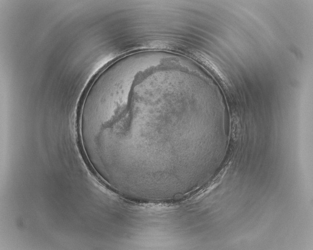 X0000116031087200912041929