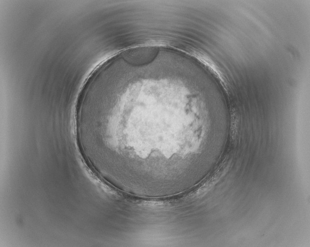 X0000116031088200912041929