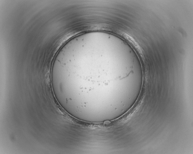 X0000116031089200912041929