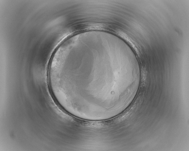 X0000116031090200912041929