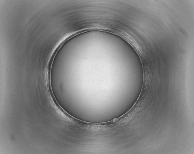 X0000116031092200912041929