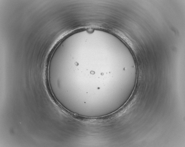 X0000116031093200912041929