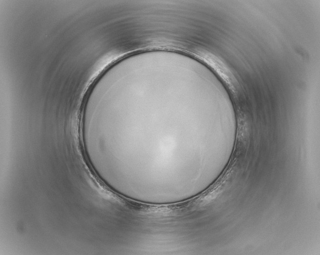 X0000116031094200912041929