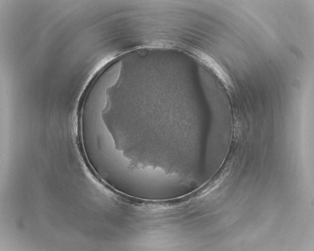 X0000116031095200912041929