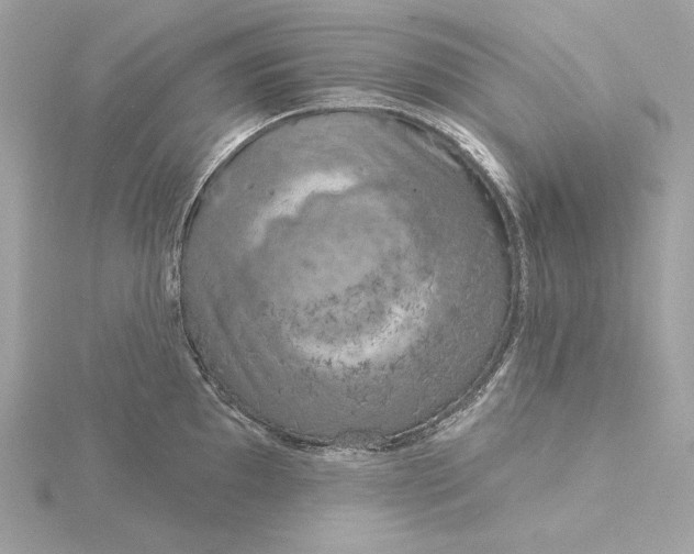 X0000116031097200912041929