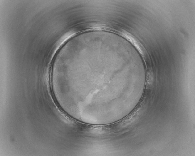 X0000116031098200912041929