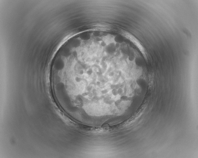 X0000116031099200912041929