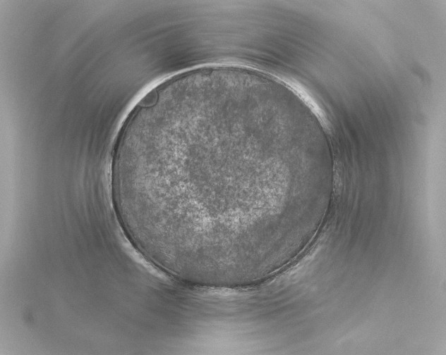 X0000116031100200912041929