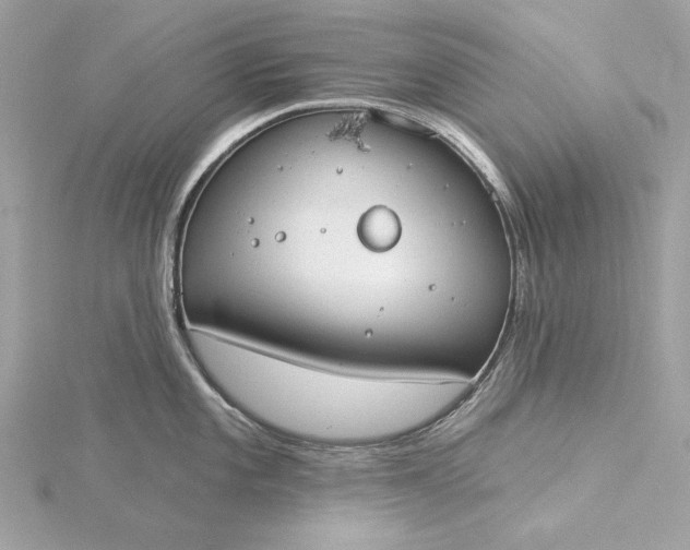 X0000116031101200912041929