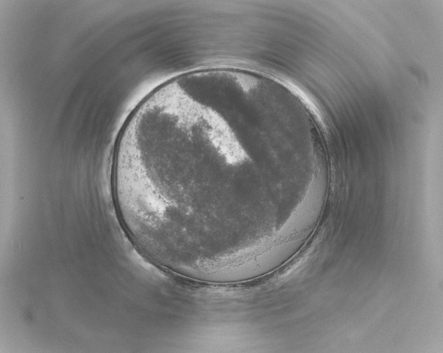 X0000116031102200912041929