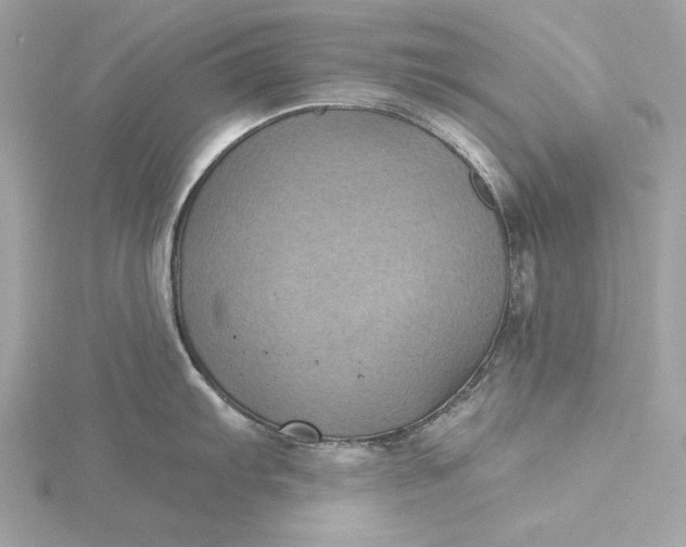 X0000116031103200912041929