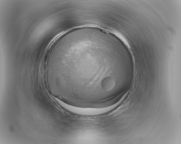 X0000116031104200912041929