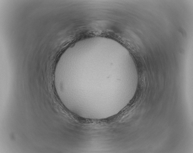 X0000116031105200912041929